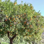 بيت للعطل Antica Cantina Emilia *