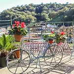 Antica Cantina Emilia *