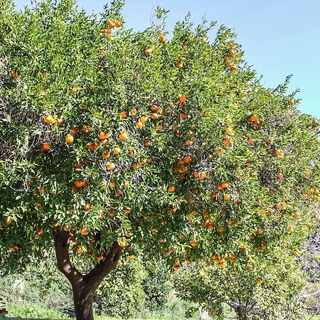 بيت للعطل Antica Cantina Emilia *