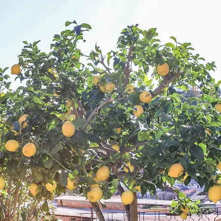 Antica Cantina Emilia بيت للعطل ريجّو دي كالابريا