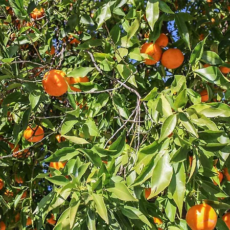 Antica Cantina Emilia بيت للعطل *