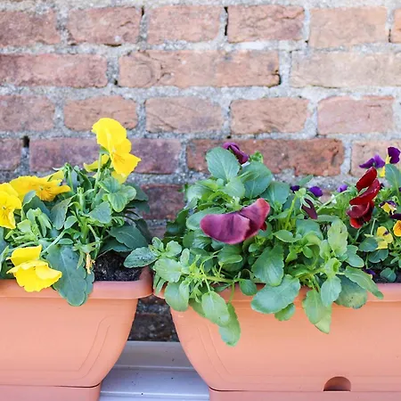 Casa de Férias Antica Cantina Emilia *