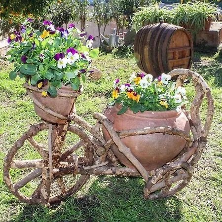 Casa vacanze Antica Cantina Emilia Reggio Calabria