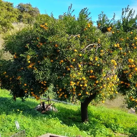 Antica Cantina Emilia Casa vacanze Reggio Calabria