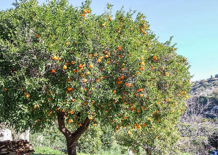 בית נופש Antica Cantina Emilia *