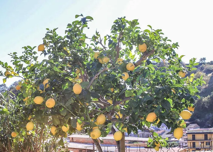 Antica Cantina Emilia בית נופש רג'יו די קאלאבריה