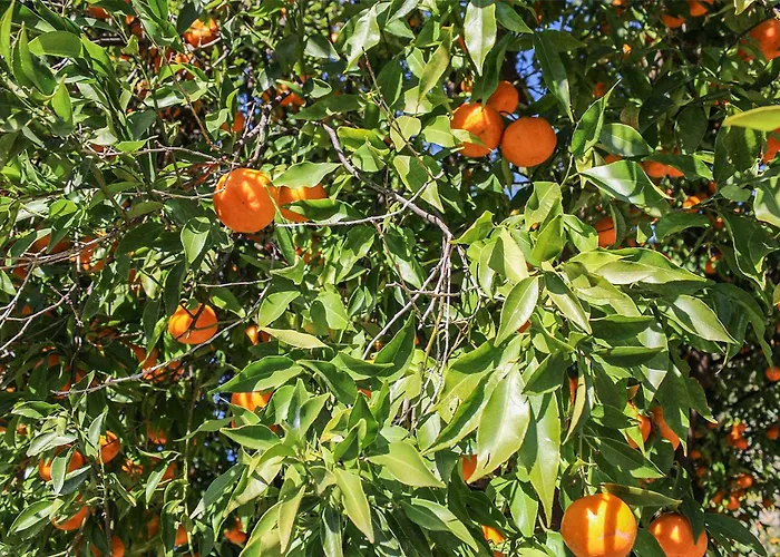 Antica Cantina Emilia בית נופש *