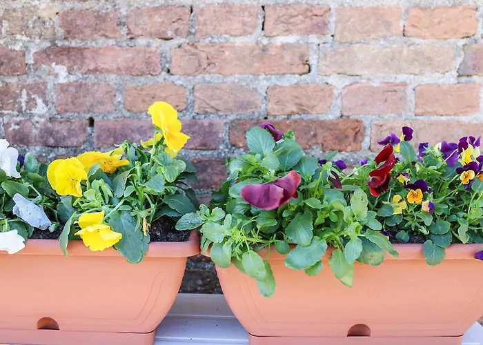 Casa de Férias Antica Cantina Emilia *